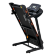 Беговая дорожка электрическая ROYAL Fitness RF-6