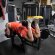 Сгибание ног AnyFit PE203-84