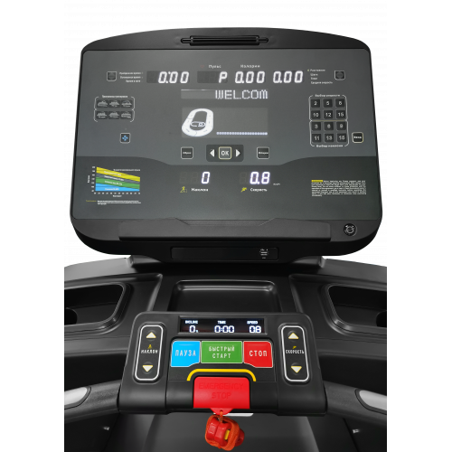 Беговая дорожка CardioPower PRO CT500